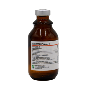 Testosterona E 50ml